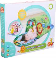 Килимок-палатка Shantou Птичка 57х47х8 см 2222525211015