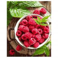 Набор для росписи по номерам Strateg Малина VA-1117