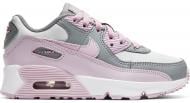Кроссовки демисезонные Nike Air Max 90 LTR CD6867-002 р.33,5 серые