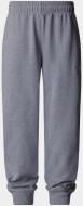 Брюки THE NORTH FACE Teen Essential Oversized Jogger NF0A89HU-DYX1 р. L серый
