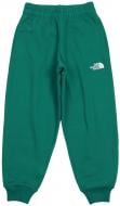 Брюки THE NORTH FACE Teen Essential Oversized Jogger NF0A89HU-NL11 р. S зеленый