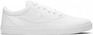 Кроссовки мужские демисезонные Nike SB CHARGE CNVS CD6279-100 р.41 белые