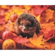 Набор для детского творчества Strateg Осень в колючках SK88227