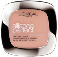 Пудра компактная L'Oreal Paris Alliance Perfect N2 9 г