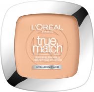 Пудра компактна L'Oreal Paris True Match 2N 9 г