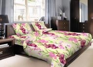 Комплект постельного белья 12004 Гладиолус семейный мульти Zastelli