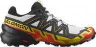 Кроссовки мужские демисезонные Salomon SPEEDCROSS 6 L41737800 р.44 2/3 разноцветные