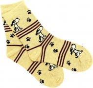Носки для девочекдля мальчиков Charmante 1273 SNK р.23-26 желтый