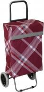 Тележка хозяйственная с сумкой Глостер в ассортименте ZZ 206-16-306-2