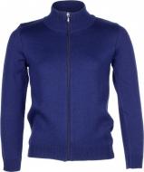 Кофта для мальчика Flash р.122 18B018sh-1111_421