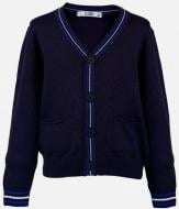 Кардиган для мальчика Flash р.134 19B176-4-1850_421-3