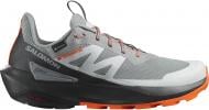 Кроссовки Salomon ELIXIR ACTIV GTX L47456200 р.46 серый