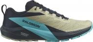 Кроссовки мужские демисезонные Salomon SENSE RIDE 5 L47458500 р.46 разноцветные
