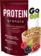 Каша GO ON NUTRITION PROTEIN GRANOLA WITH GRANOLA WITH FRUITS 300 г