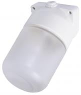 Светильник для сауны E.NEXT 60 Вт e.light.sauna.skew.1.60.27.white IP54 l002060