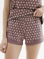 Шорти жіночі Roksana MIDNIGHT GRASE №1799/16330 №1799 р. XXL коричневий