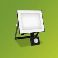 ВИТРИНА! Прожектор с датчиком движения Philips Lois flood 30 Вт IP65 белый 929004642501
