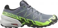 Кросівки чоловічі демісезонні Salomon SPEEDCROSS 6 GTX L47301900 р.42 сірі