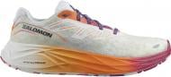 Кроссовки мужские демисезонные Salomon AERO GLIDE 2 ISD L47467200 р.44 белые