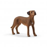 Ігрова фігурка Schleich Родезійський риджбек арт.13895 6833866