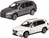 Автомобіль Welly 1:24 BMW X5 (асортимент) 24052W