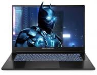 Ноутбук Dream Machines RG5060-17 17,3" (RG5070-17UA21) black