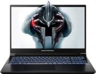 Ноутбук Dream Machines RG5070-15 15,6" (RG5070-15UA21) black