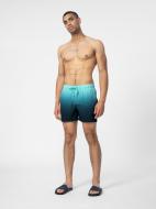 Шорти 4F 4FSS22TFSHM127-30A р. 2XL синій