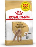 Корм для дорослих собак породи пудель віком від 10 місяців Royal Canin BHN POODLE ADULT 1.2 кг + 300 г