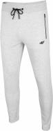 Брюки 4F H4L20-SPMD010-27M р. 2XL светло-серый