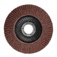 Круг пелюстковий GRAPHITE 125 мм P40 58T120