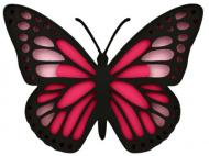 Набор для рисования картина 3D Бабочка 4 (N0003517) 17х17 см Rosa Talent