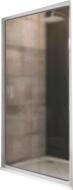 Душевые двери Ravak Blix BLDP2-110 (0PVD0C00ZG)