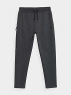 Брюки 4F H4Z21-SPMD010-24S р. L серый