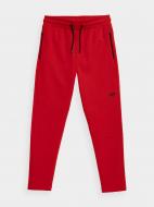 Брюки 4F H4Z21-SPMD014-62S р. L красный