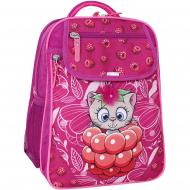 Рюкзак школьный Bagland Отличник 20 л малиновый 899 (418214845) 0058070 Рюкзак школьный Bagland Отличник 20 л малиновый 899 (418214845) 0058070