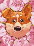 Картина по номерам Цветущий корги 30х40 см Идейка