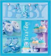 Фотоальбом EVG 20sheet Baby collage blue w/box (UA)