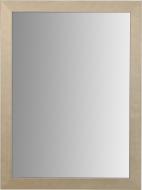 Зеркало ЭЗ-00237 500х700