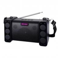 Портативная колонка NEWVEW NV-9172 black (NWVW-NV-9172-BK) Портативная колонка NEWVEW NV-9172 black (NWVW-NV-9172-BK)