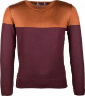 Джемпер для мальчика Flash р.134 коричневый с фиолетовым 18B032sp-1405_770-57