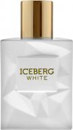Туалетная вода Iceberg Вайт 50 мл