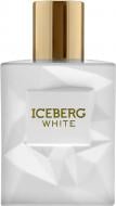 Туалетная вода Iceberg Вайт 100 мл