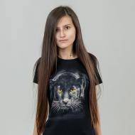 Футболка женская Sol's Miss 11386318/31 р.M темно-синий