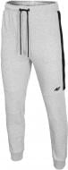 Брюки 4F H4L20-SPMD002-27M H4L20-SPMD002-27M р. XL светло-серый