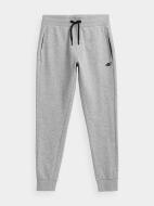 Штани 4F NOSH4-SPMD350-27M р. 3XL світло-сірий Штани 4F NOSH4-SPMD350-27M р. 3XL світло-сірий