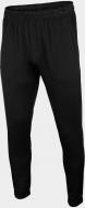Брюки 4F NOSH4-SPMTR350-20S р. L черный Брюки 4F NOSH4-SPMTR350-20S р. L черный