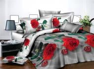 Комплект постельного белья Microsatin Premium 15-0224 Burundi 175х210 см мультиколор MirSon