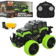 Машинка на радиоуправлении Shantou YED 1811