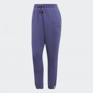 Брюки Adidas Coeeze PANT DU2348 р. 36 фиолетовый